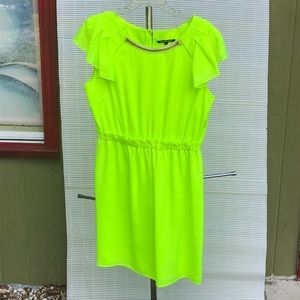 A Gianni Bini dress